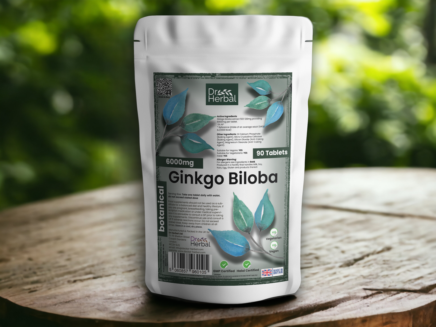 Ginkgo Biloba 6000mg by Dr Herbal™ For Brain Health