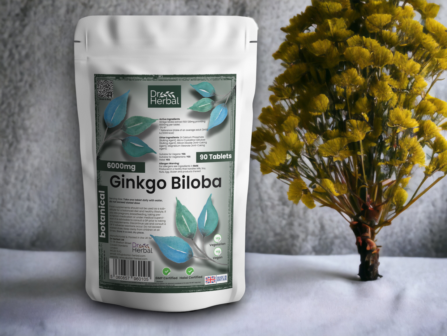 Ginkgo Biloba 6000mg by Dr Herbal™ For Brain Health