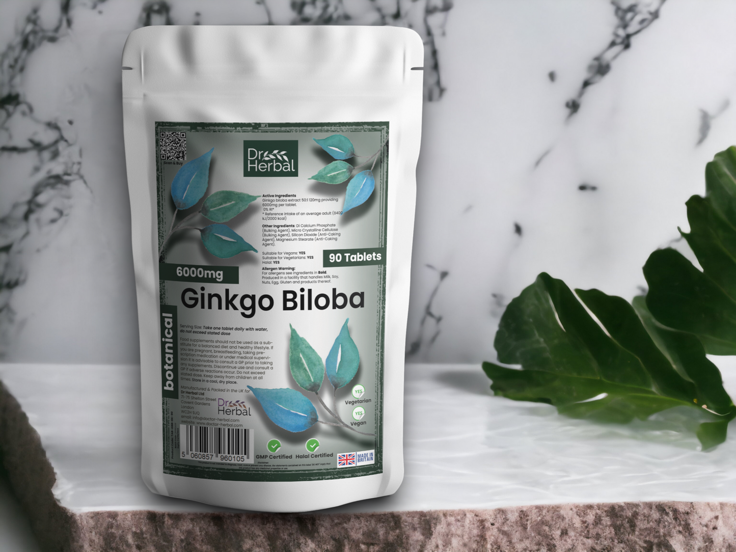 Ginkgo Biloba 6000mg by Dr Herbal™ For Brain Health